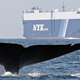 Illustration for article titled UN: Ships Need to Shut Up So Whales and Dolphins Can Hear